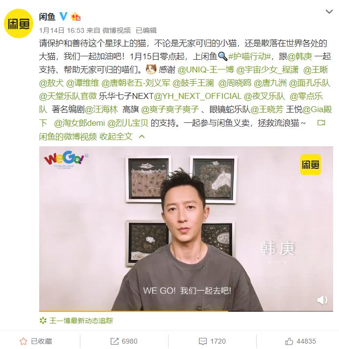 韓庚X閑魚(yú)助力“護(hù)喵行動(dòng)”：一起來(lái)拯救流浪貓