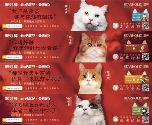 杭州碧橙三度蟬聯(lián)天貓六星，四招助力品牌數(shù)字化升級