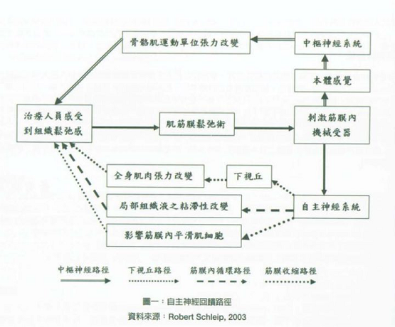 筋膜槍究竟是什么，真的有用嗎？
