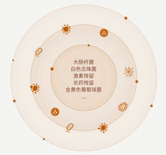 法格果蔬清洗機，清洗更“凈”一步