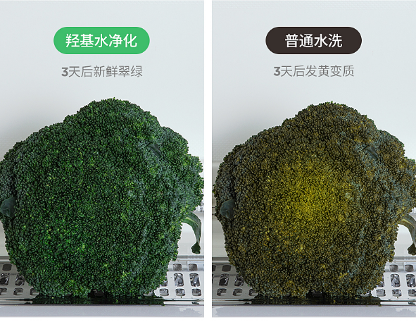 法格果蔬清洗機，清洗更“凈”一步