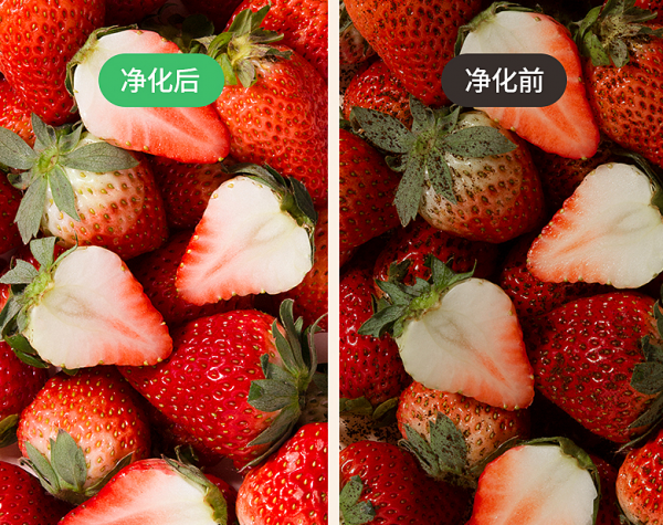 法格果蔬清洗機，清洗更“凈”一步