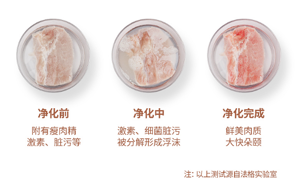 法格果蔬清洗機，清洗更“凈”一步