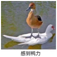 遠(yuǎn)程辦公，不用信源豆豆，你的信息真的安全嗎？