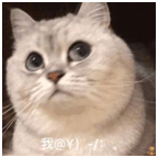 遠(yuǎn)程辦公，不用信源豆豆，你的信息真的安全嗎？