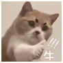 遠(yuǎn)程辦公，不用信源豆豆，你的信息真的安全嗎？