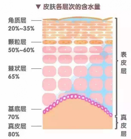 干皮如何補(bǔ)水？正確補(bǔ)水方式讓你度過干燥春季