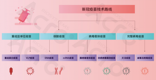ACROBiosystems百普賽斯攜整體解決方案出席創(chuàng)新峰會，助力加速疫苗研發(fā)上市進(jìn)程