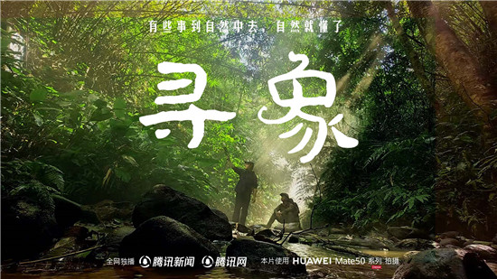 去雨林深處，聽大象長吟，自然紀(jì)錄片《尋象》正式上線！