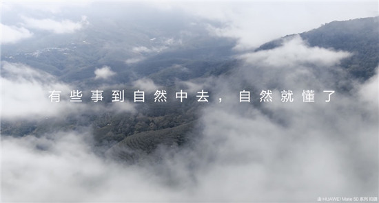 去雨林深處，聽大象長吟，自然紀(jì)錄片《尋象》正式上線！