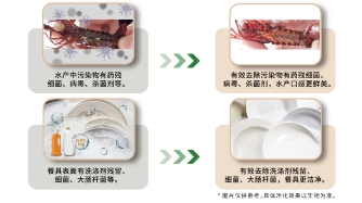小小一臺凈食機，究竟有多大能耐？