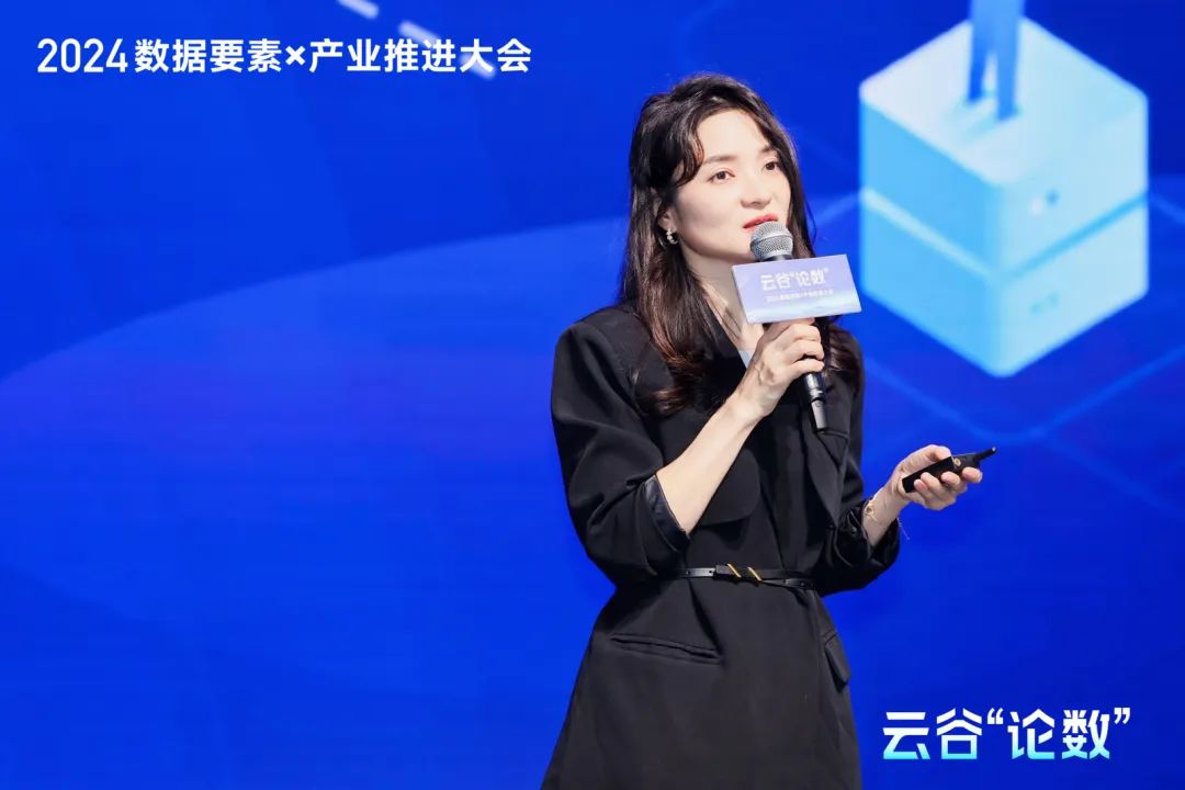 2024云谷“論數(shù)”：數(shù)據(jù)要素×產(chǎn)業(yè)的新要素，新業(yè)態(tài)，新增長(zhǎng)