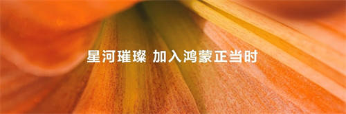 加入鴻蒙正當(dāng)時，“鴻蒙林”照見原生鴻蒙萬物智聯(lián)新世界