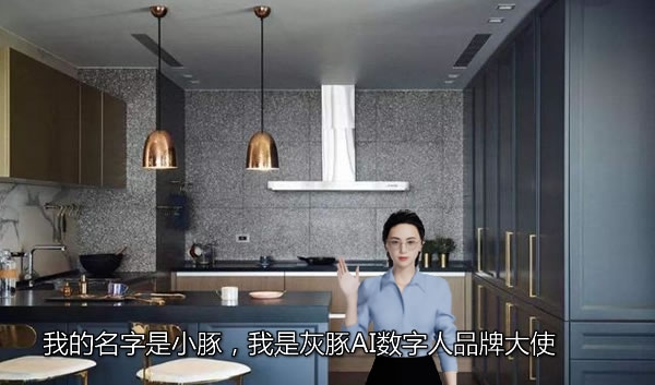 2024世界人工智能大會(huì)，灰豚AI數(shù)字人以可視化的方式迎面而來