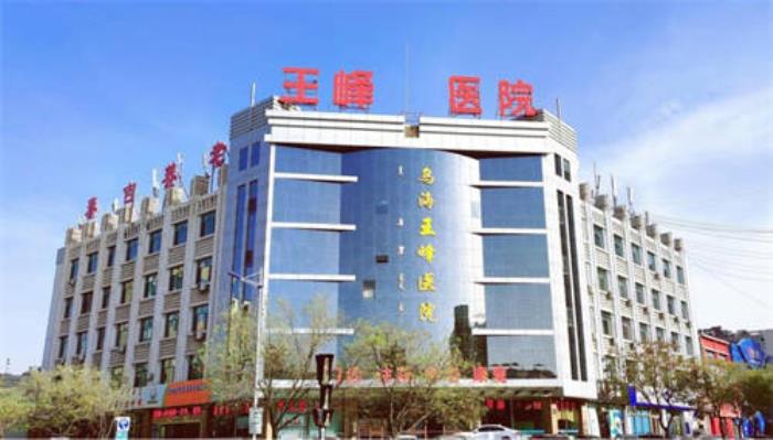 智慧醫(yī)養(yǎng)，科技守護：內(nèi)蒙古烏海王峰醫(yī)院與清雷科技深度合作