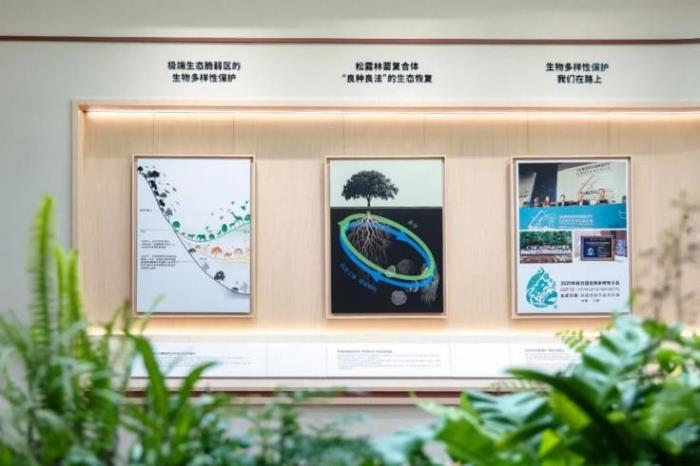 弘揚(yáng)高山植物魅力，植物醫(yī)生高山松露博物館驚艷亮相昆明