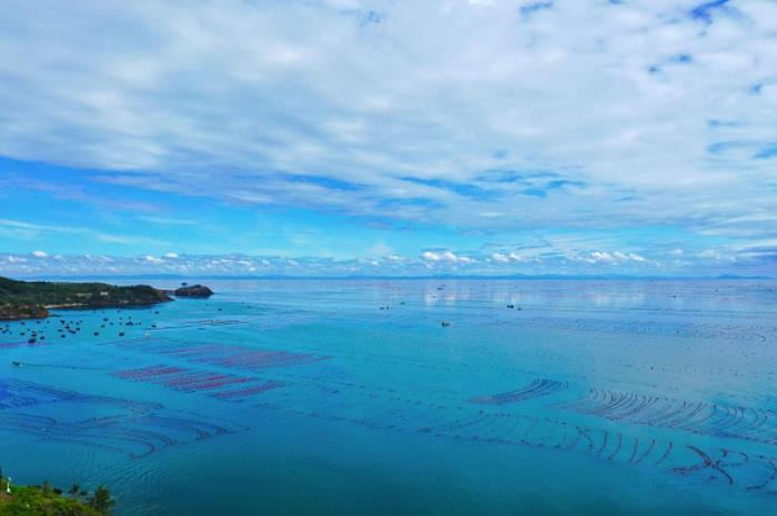 長海海螺，鮮味崛起，璀璨未來