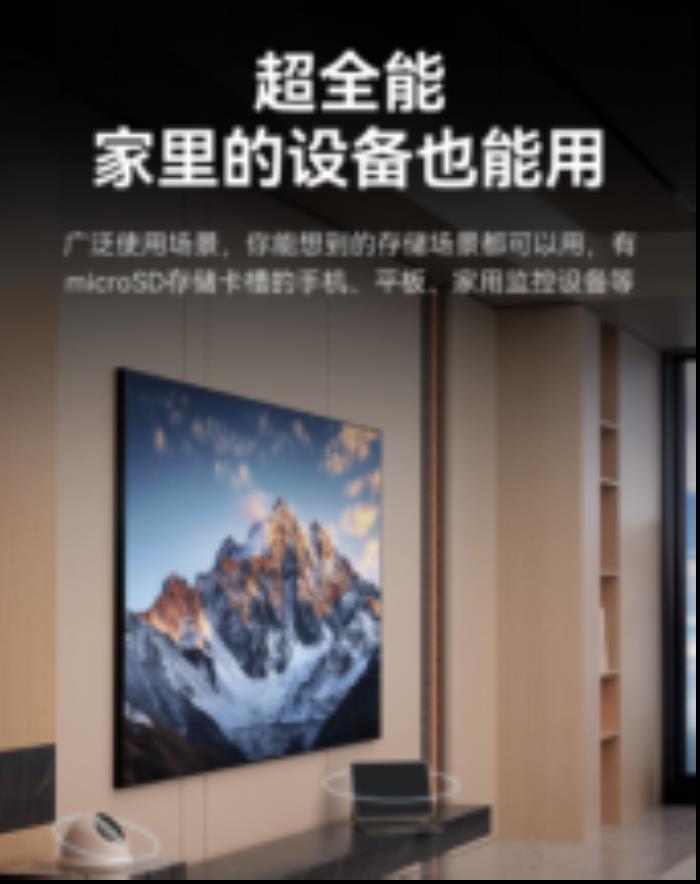 雷克沙推出Professional SILVER PLUS microSD存儲卡，滿足多種設(shè)備需求