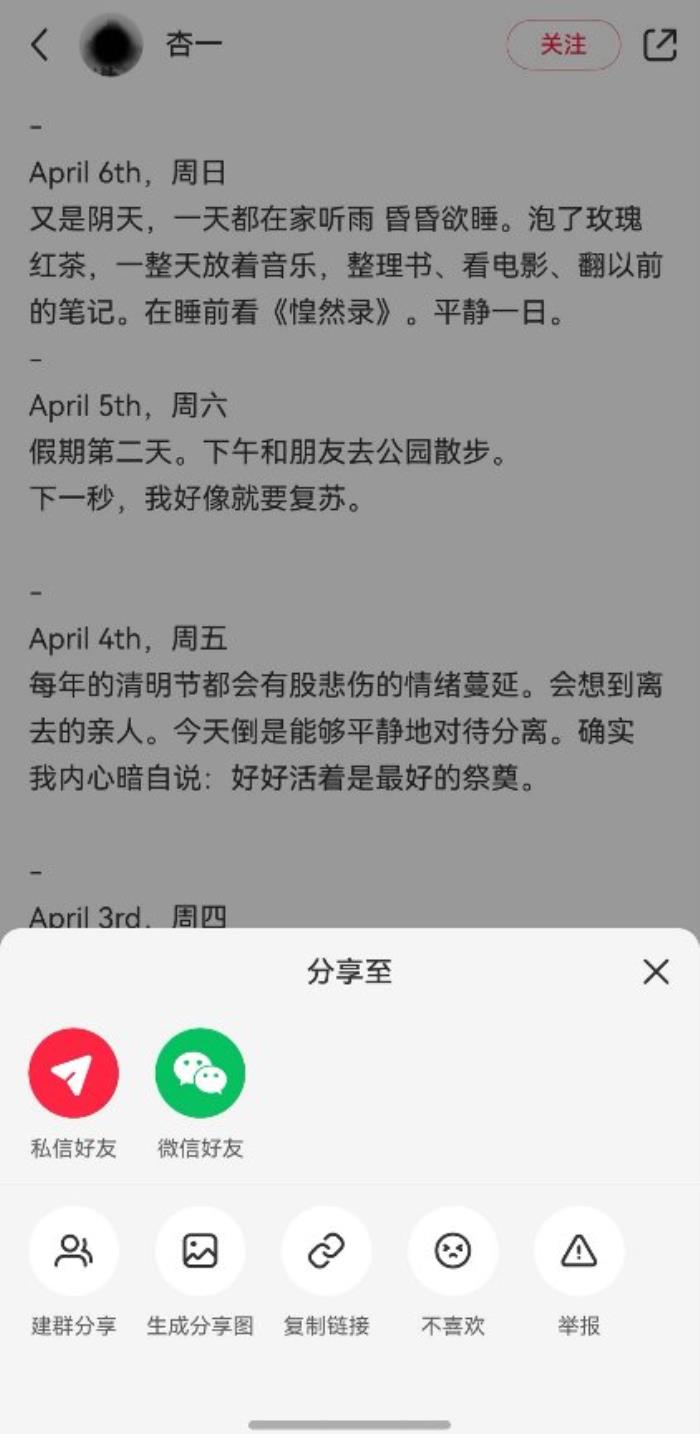 鴻蒙版小紅書兩周連更！深度適配Pura X+十余項更新，社交體驗大有不同