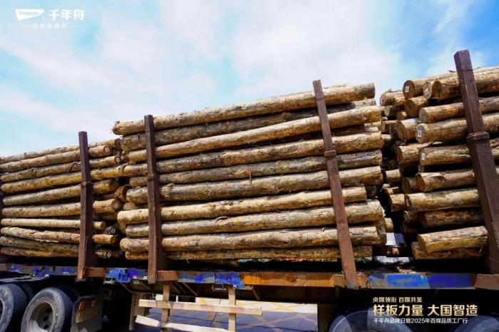 樣板力量·大國智造丨2025千年舟品牌日「百媒工廠行」，共探智能制造價值標桿