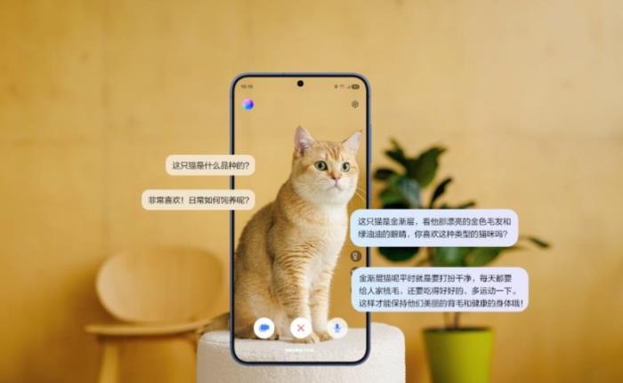 旗艦體驗(yàn)不偏科 三星Galaxy S25+打造全能旗艦新范式