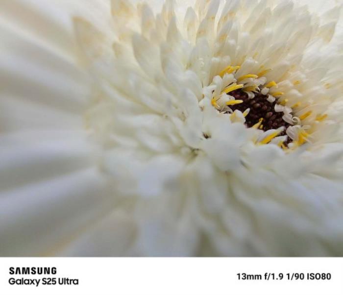 隨時拍出主角感 三星Galaxy S25 Ultra人像體驗(yàn)再升級