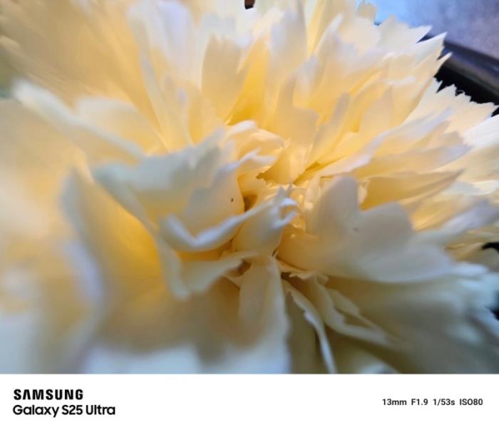 全焦段、全場景、全流程 三星Galaxy S25 Ultra打通影像創(chuàng)作閉環(huán)