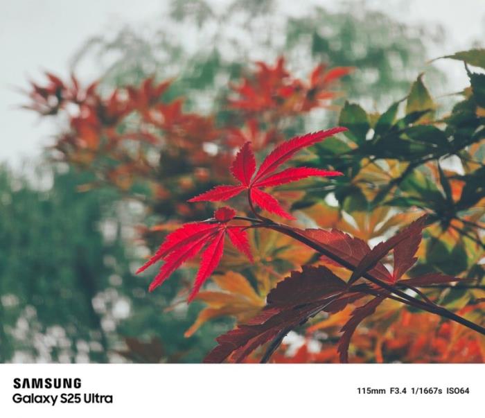 全焦段、全場景、全流程 三星Galaxy S25 Ultra打通影像創(chuàng)作閉環(huán)