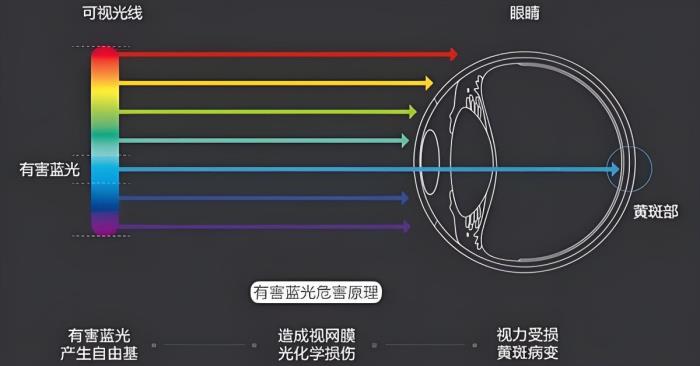愛眼日特別關(guān)注：當(dāng)我們?cè)诳雌聊粫r(shí)，眼睛正在經(jīng)歷什么？