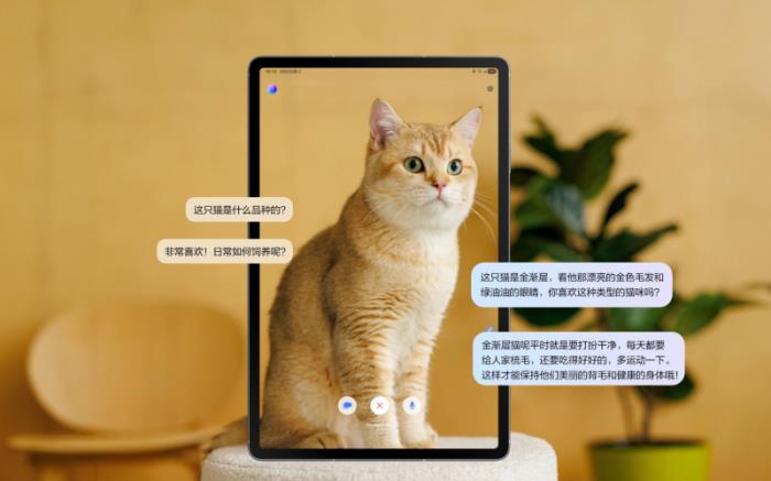 三星Galaxy Tab S10 FE：618更適合職場人的輕辦公平板