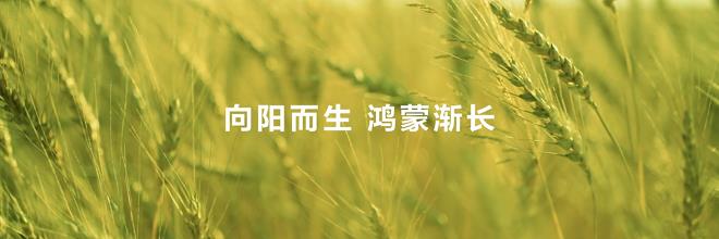 HDC 2025現(xiàn)場重磅發(fā)布華為在下一個操作系統(tǒng)時代的棋