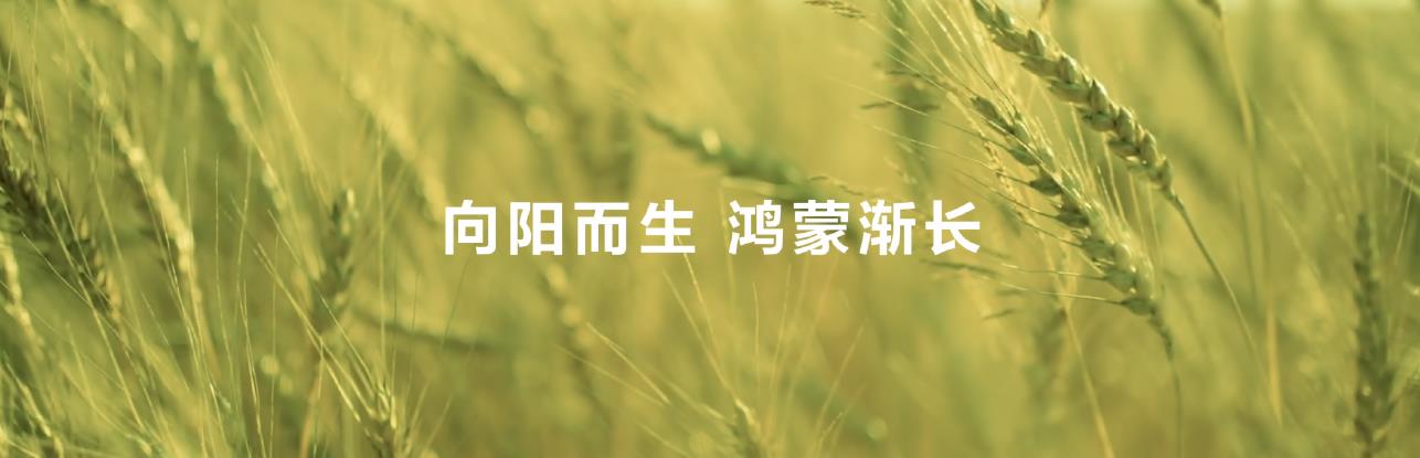 鴻蒙系統(tǒng)級(jí)AI賦能，華為閱讀不斷拓展數(shù)字閱讀邊界