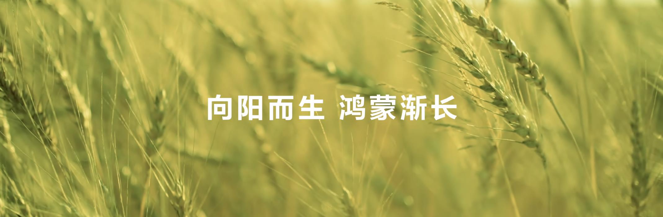 從“被動響應(yīng)”到“主動服務(wù)”，鴻蒙正在煥新消費者智能生活體驗